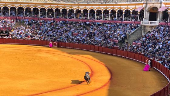El primero de la tarde, en el ruedo